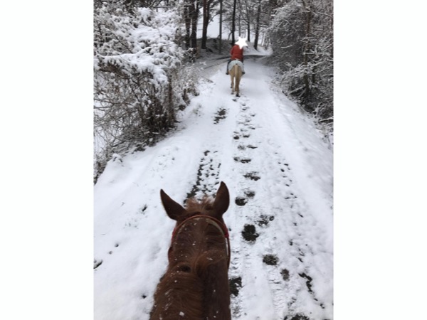 雪中乗馬